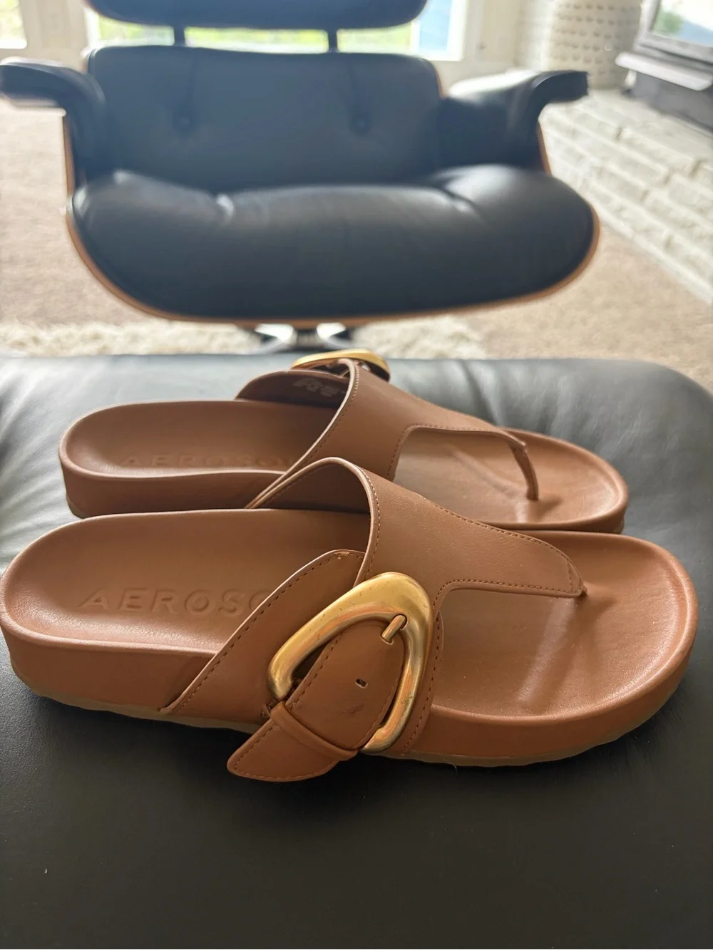 Brown  Toe-Post Sandals with Gold Buckle